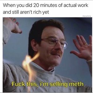 Meet your Posher, Chase